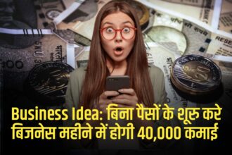 Business Idea: बिना पैसों के शूरु करे बिजनेस महीने में होगी 40,000 कमाई
