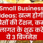 Small Business Ideas: खत्म होगी पैसों की टेंशन, कम लागत के शुरु करे ये 3 बिजनेस