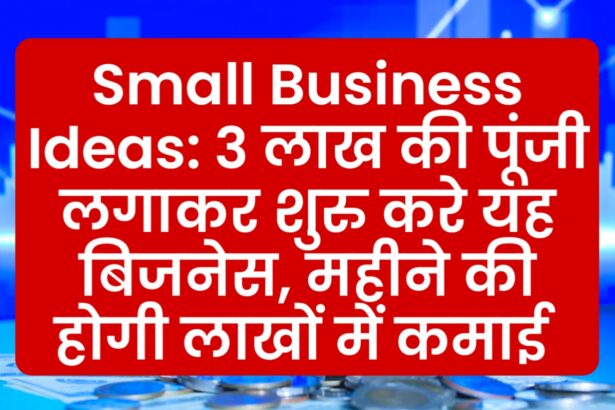 Small Business Ideas: 3 लाख की पूंजी लगाकर शुरु करे यह बिजनेस, महीने की होगी लाखों में कमाई