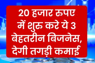 20 हजार रुपए में शुरु करे ये 3 बेहतरीन बिजनेस, देगी तगड़ी कमाई