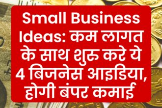 Small Business Ideas कम लागत के साथ शुरु करे ये 4 बिजनेस आइडिया, होगी बंपर कमाई