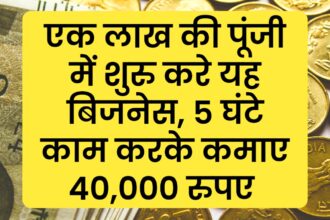 एक लाख की पूंजी में शुरु करे यह बिजनेस, 5 घंटे काम करके कमाए 40,000 रुपए