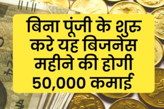 बिना पूंजी के शुरु करे यह बिजनेस महीने की होगी 50,000 कमाई