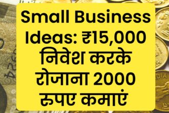 Small Business Ideas: ₹15,000 निवेश करके रोजाना 2000 रुपए कमाएं