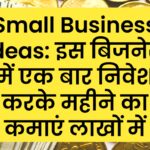 Small Business Ideas: इस बिजनेस में एक बार निवेश करके महीने का कमाएं लाखों में