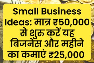 Small Business Ideas: मात्र ₹50,000 से शुरु करें यह बिजनेस और महीने का कमाएं ₹25,000