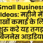 Small Business Ideas: महीने में लाखों कमाई के लिए शुरु करे यह तगड़ा बिजनेस आइडिया