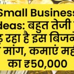 Small Business Ideas: बहुत तेजी से बढ़ रहा है इस बिजनेस की मांग, कमाएं महीने का ₹50,000