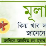 মূলা কিয় খাব লাগে জানেনে? (Why we should eat radish?)