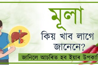 মূলা কিয় খাব লাগে জানেনে? (Why we should eat radish?)