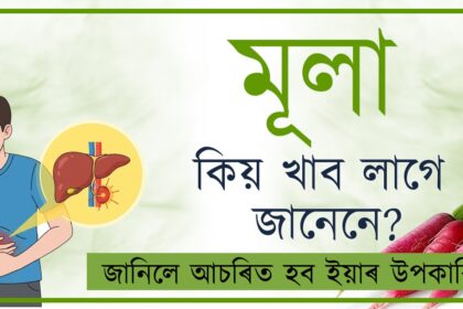 মূলা কিয় খাব লাগে জানেনে? (Why we should eat radish?)